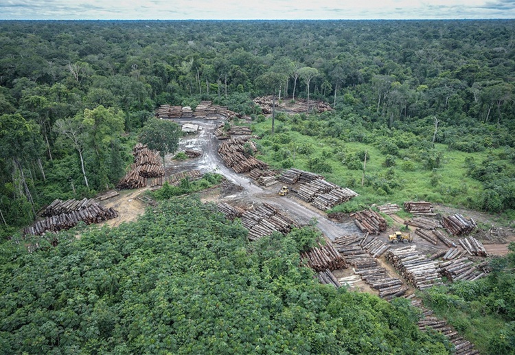 Amazônia desmatamento