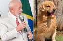 Lula em defesa do cachorro Joca