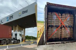Piauí exporta 24 toneladas de cera de carnaúba para Holanda(Ccom)