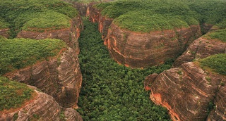O mundo, o Piauí e a preservação ambiental