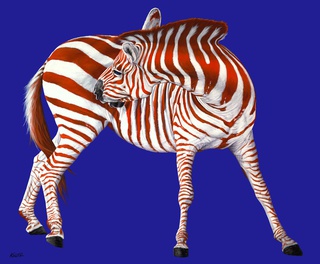 Zebra gorda e comunista
