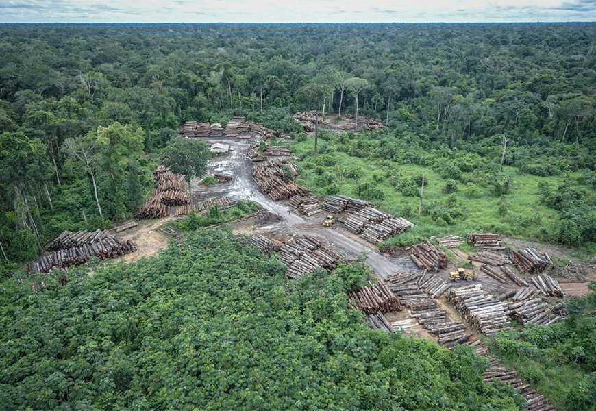 Devastação da Amazônia é símbolo da destruição do país