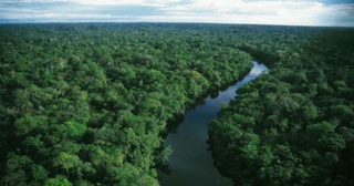 Floresta Amazônica (americana)