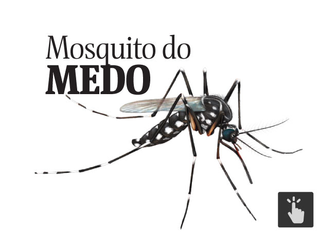 Aedes Aegypti : O mosquito do Medo