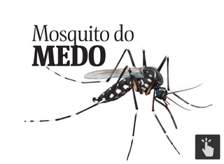 o Zika vírus