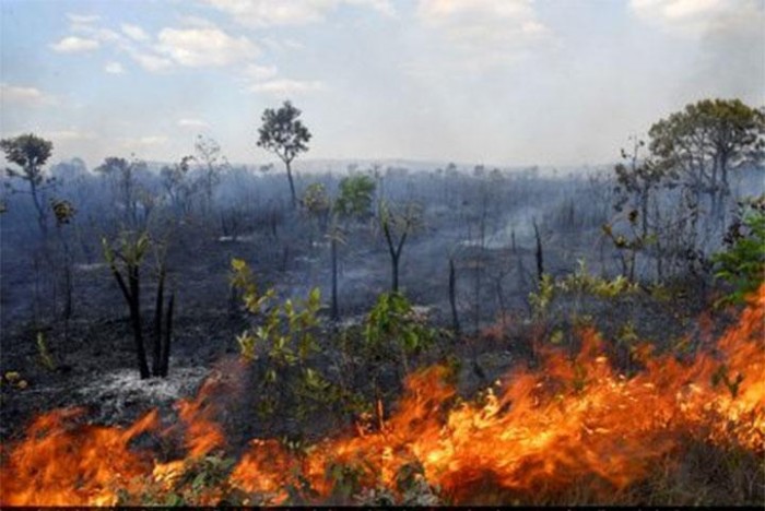 Incêndios e queimadas no Piauí: Governo intensifica prevenção