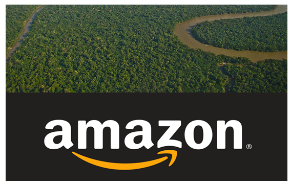 Com Bolsonaro é assim: vem a Amazon, vai a Amazônia - a greve dos Correiros