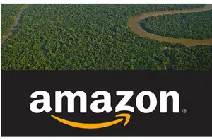 Amazônia se vai, Amazon vem(google imagem)