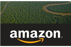 Amazônia se vai, Amazon vem