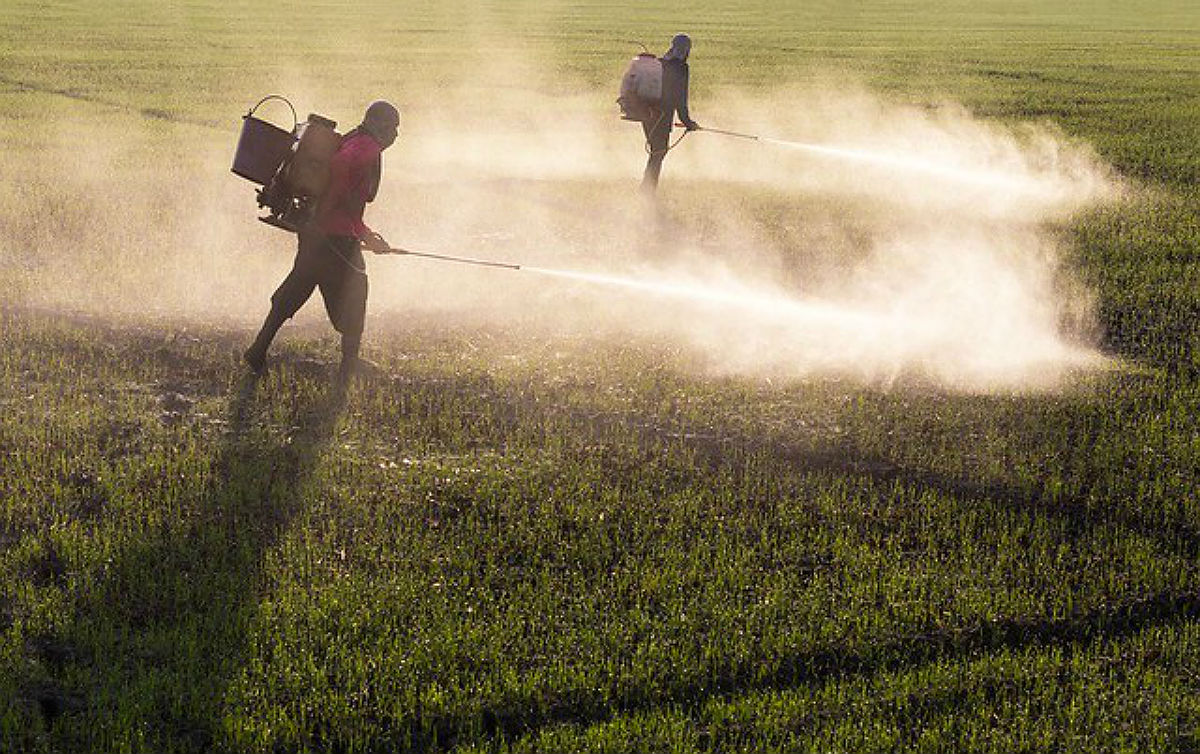 Governo Bolsonaro: vacina, não; veneno, sim; mais 12 agrotóxicos liberados