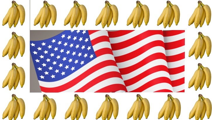 Bandeira americana