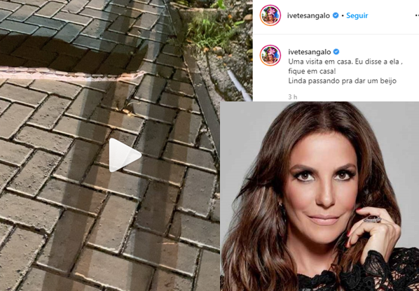 Cobra "visita" casa de Ivete Sangalo, e ela: "fique em casa"