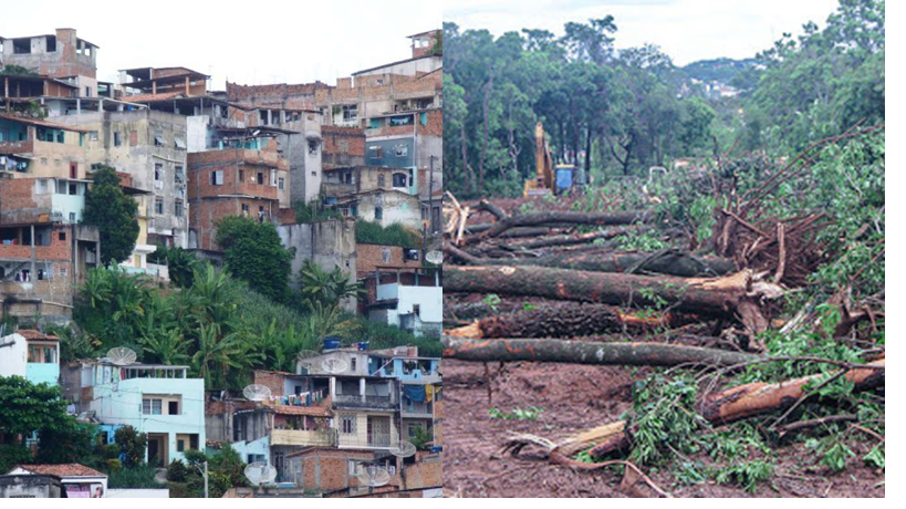 “Na cidade se mata, no campo se desmata”