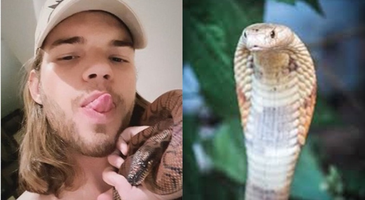 Nas redes sociais, Pedro compartilhava fotos com os animais.