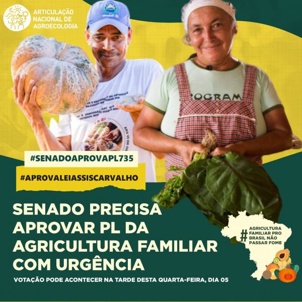 Articulação Nacional de Agroecologia