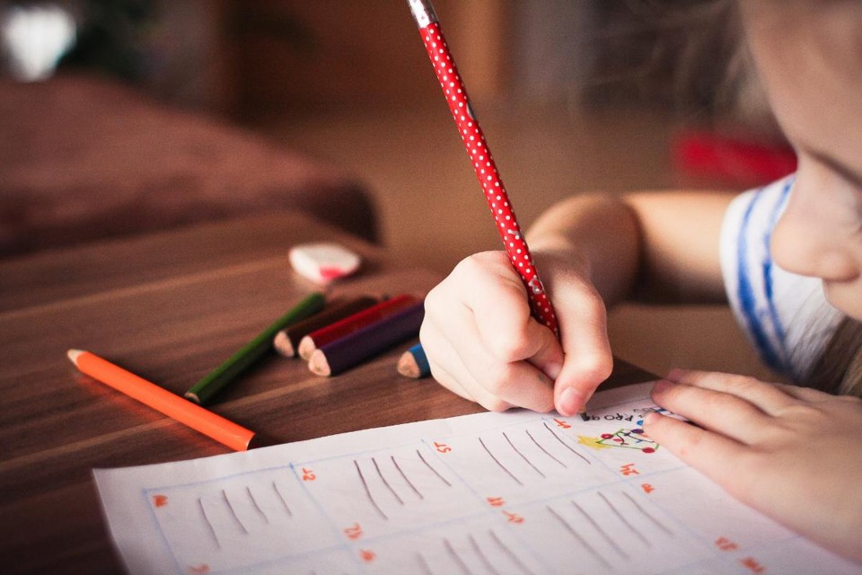 A educação em casa é o caminho para a canalização de fundos públicos para EAD