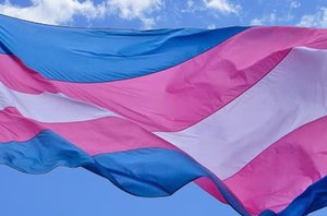 Bandeira do orgulho Trans(Congresso em Foco)
