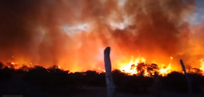 Vídeo: incêndio de grandes proporções atinge zona rural de Monselhor Hipolíto