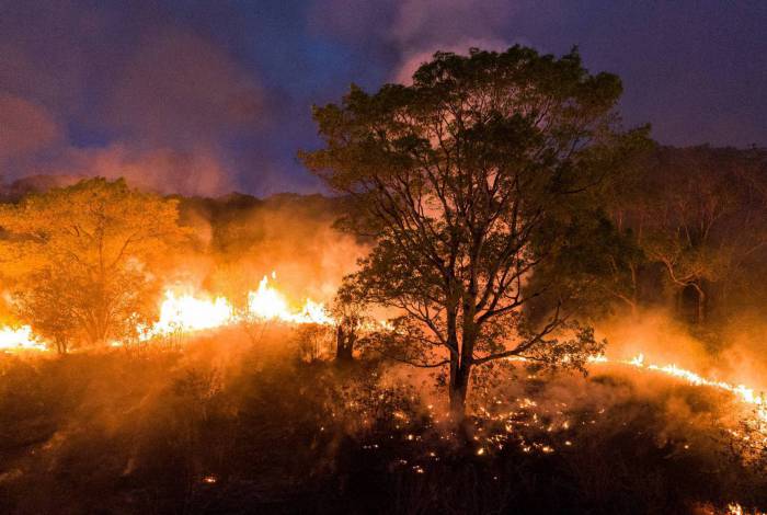 “Estou dentro de um círculo de fogo”, diz fazendeiro do Pantanal