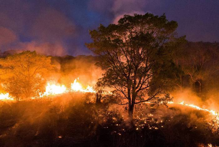 Fogo no pantanal