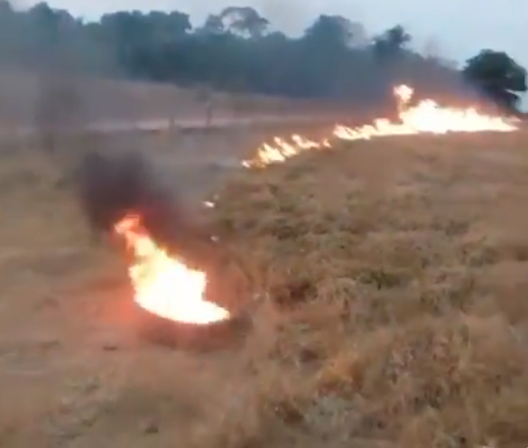 VIDEO: O agro é tóxico, o agro é doença, o agro bota fogo