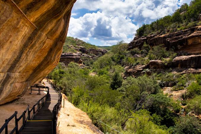 Serra da Capivara reabre com redução de 50% dos visitantes e série de restrições