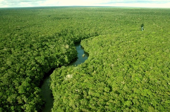 EUA anunciam na Colômbia acordo sobre a Amazônia