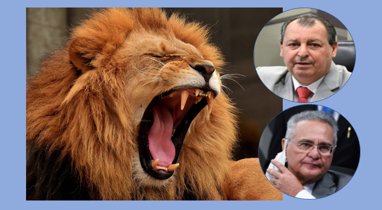 Renan “jogou a gente aos leões”, diz senador Omar Aziz