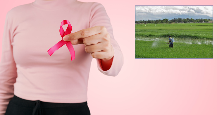 Outubro Rosa: a relação entre agrotóxicos e o câncer de mama