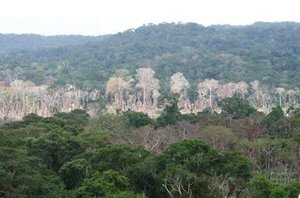 Amazônia(Repórter Rosangela)