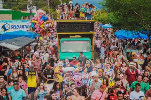 Carnaval em Teresina(Reprodução/PMT)