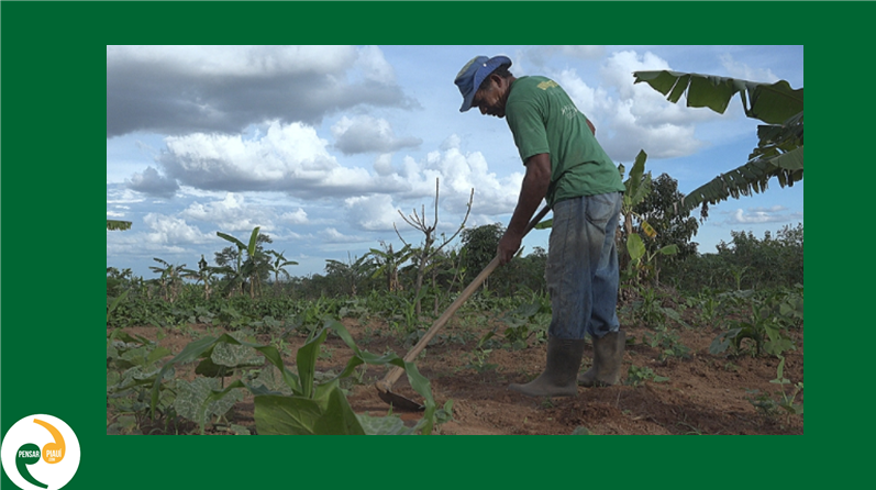 MST, a produção agroecológica e projeções de vendas para 2022