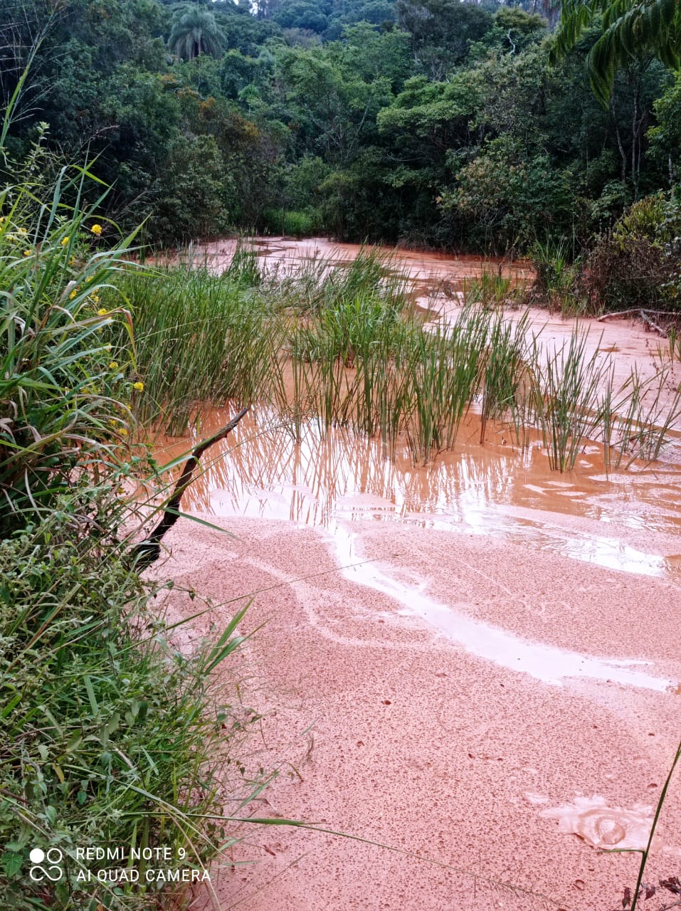 Brumadinho enfrenta uma nova avalanche de lama