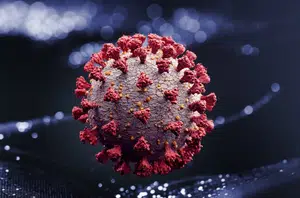 Novas variantes do coronavírus no Brasil(G1)
