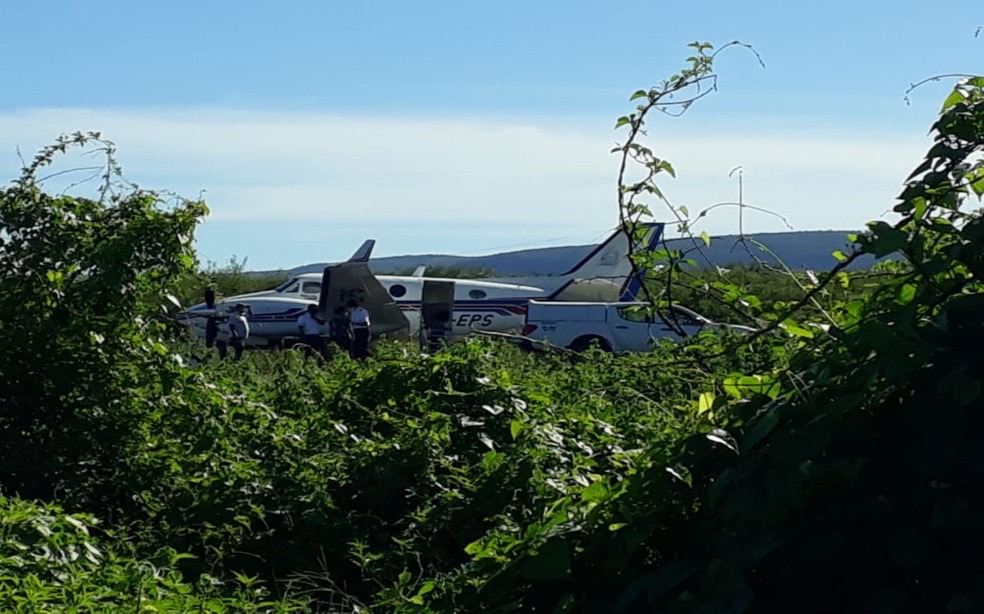 Avião com vacinas sofre acidente ao bater em jumento