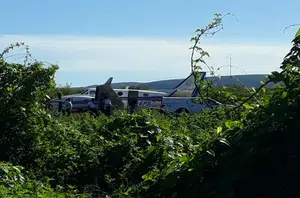 Aeronave bateu em jumento pouco depois de pousar na pista do aeródromo de Ibotirama(Gazeta 5)