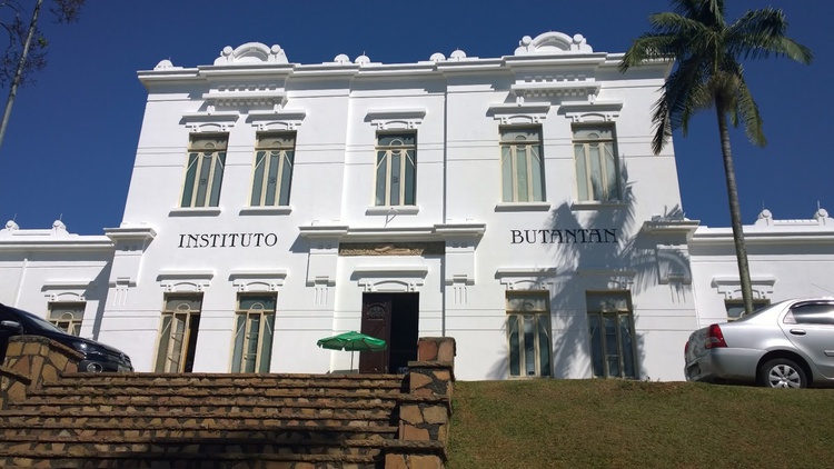 Instituto Butantan