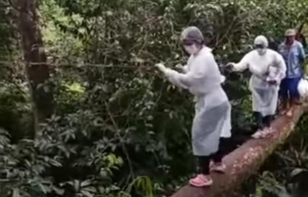 Enfermeira se equilibra em tronco de árvore para vacinar população; veja vídeo