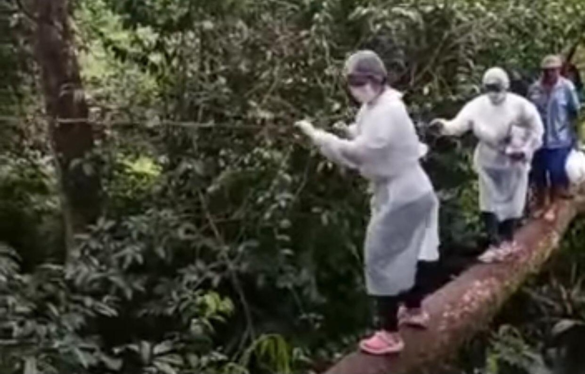 Enfermeira pisa com cuidado em tronco de árvore e segura em cipó para imunizar comunidade de Massaranduba