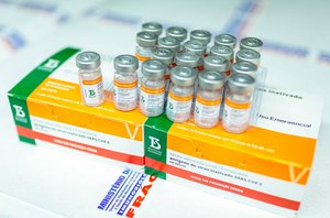 Doses da vacina Coronavac(Reprodução)