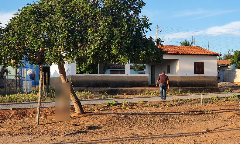 Cadela é morta enforcada em espaço público no interior do Piauí