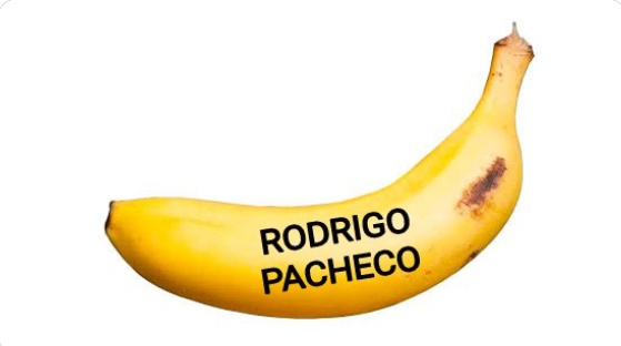 Rodrigo Pacheco