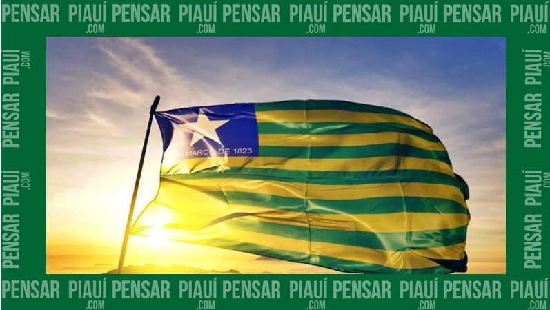 Bandeira do Piauí