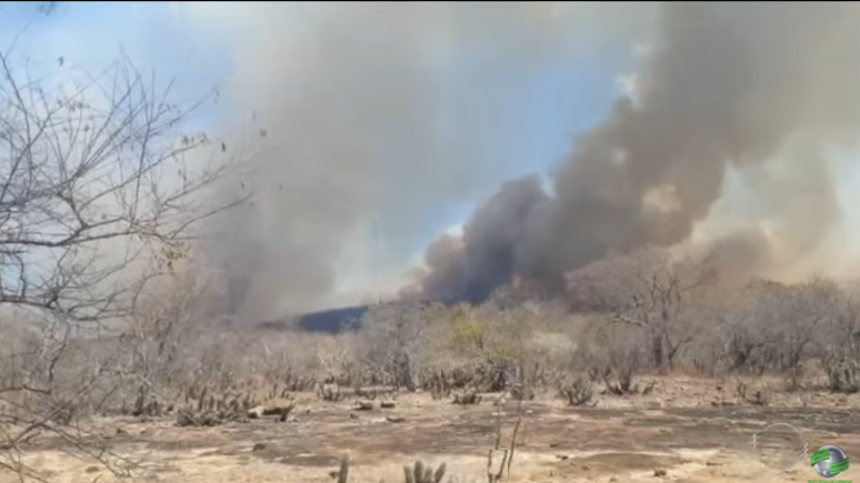 Incêndio na divisa do Piauí com o Ceará entra no 7º dia ainda fora de controle