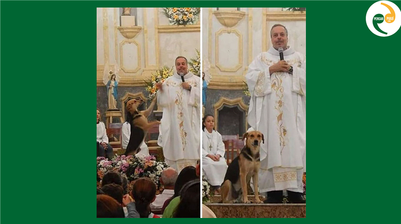 A história do padre que leva cachorros para a missa