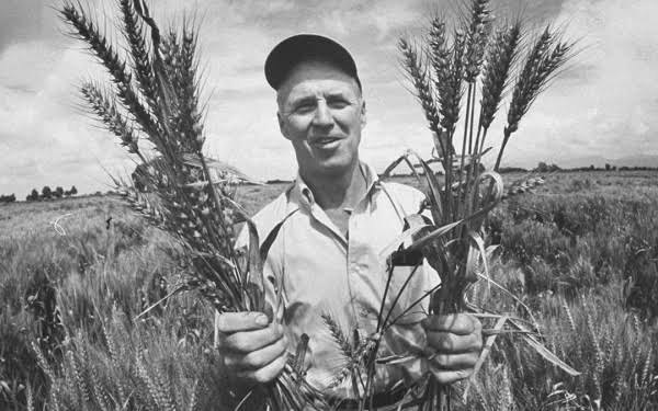 O Agro não é Pop