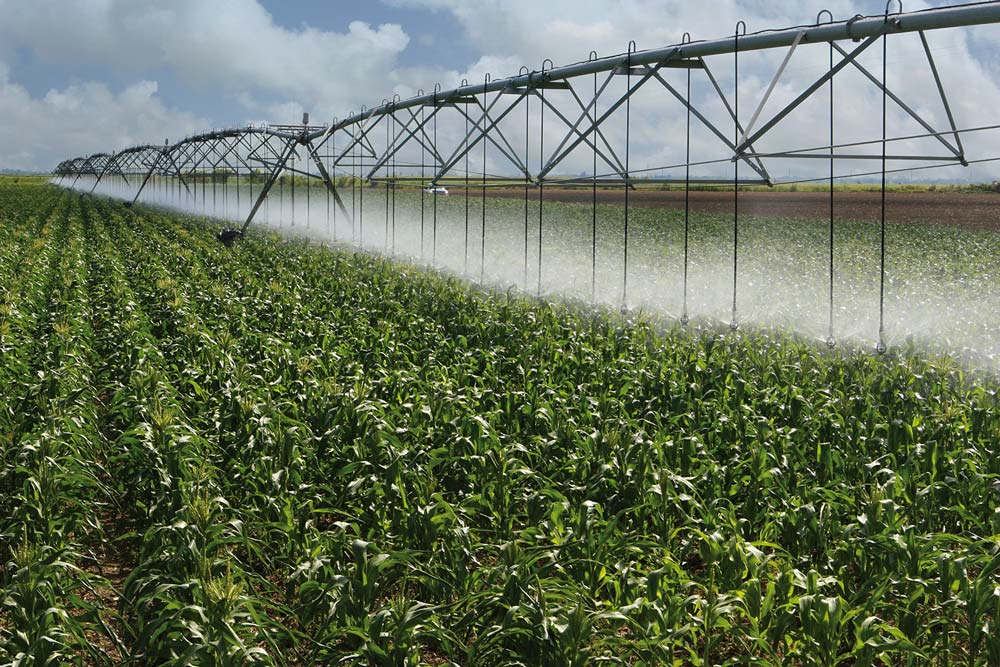 72% de toda a água consumida no Brasil é utilizada no agronegócio