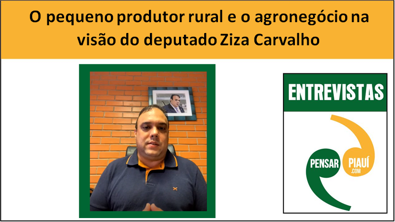 O pequeno produtor rural e o agronegócio na visão de Ziza Carvalho