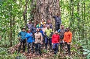 Equipe formada por pesquisadores e pessoas da comunidade local, conhecedores da floresta(Reprodução/Projeto Árvores Gigantes da Amazônia)