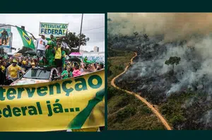 Ato antidemocrático e queimando na Amazônia(Reprodução)